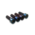 Triple Clamp Titanium Bolts